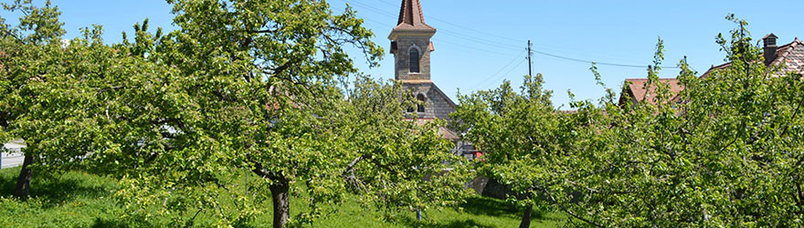 verger-eglise.jpg